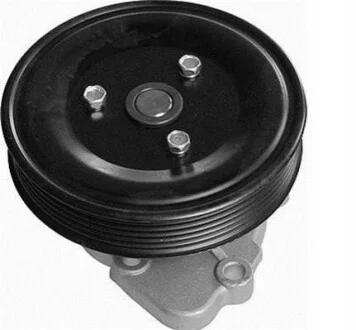 Насос водяной Magneti Marelli 352316170559