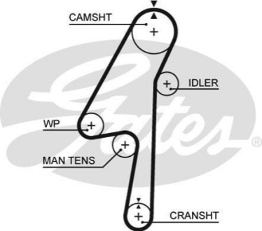 Пас ГРМ з довжиною кола понад 60 см, але не більш як 150см Gates 5580XS