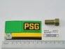 Болт М12х22 суппорта торм. пер. 3302, 2217 Газель, Волга, Соболь PSG 3302-3501141 (фото 1)