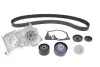 Комплект ремня ГРМ SKF VKMC06021 (фото 1)