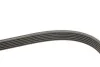 Комплект ремней поликлиновых (Выр-во) SKF VKMA 31098 (фото 3)