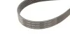 Комплект ремней поликлиновых (Выр-во) SKF VKMA 31098 (фото 4)