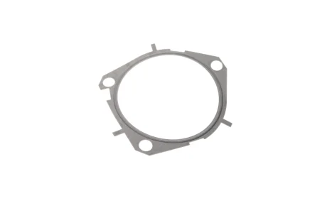 Прокладка водяний насос FIAT/OPEL 1,9 JTD Elring 453.970