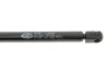 Демпфер дверей багажника Magneti Marelli 430719073000 (фото 3)