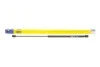Амортизатор багажника Magneti Marelli 430719095200 (фото 1)