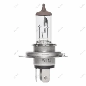 Лампа розжарювання Magneti Marelli 002535100000