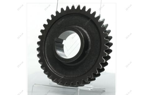 Шестерня приводу насоса оливи Д 240, 243, 245 Z=38 <> ДК 240-1005033