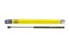 Амортизатор багажника Magneti Marelli 430719073200 (фото 1)