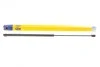 Амортизатор багажника Magneti Marelli 430719034100 (фото 1)