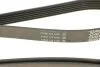 Ремень поликлиновый DAYCO 6PK2870 (фото 4)