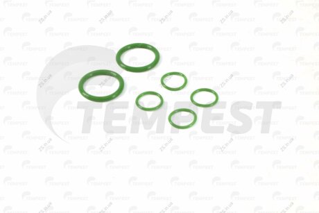 Р/к системы охлаждения Камаз ЕВРО-2 (2 наем. зеленый силикон) Tempest 7406-1300010