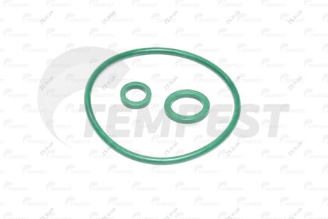 Р/к компресора 1-но циліндрового (3 найм.) КамАЗ Євро Tempest 53205-3509100