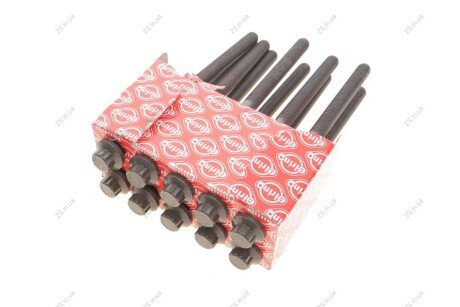 Комплект болтів головки блоку циліндрів 10 шт MB M278 (2) Elring 648.370