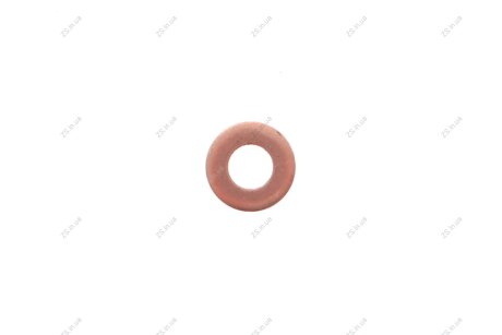 Шайба під форсунку RENAULT 16 62 676 85R