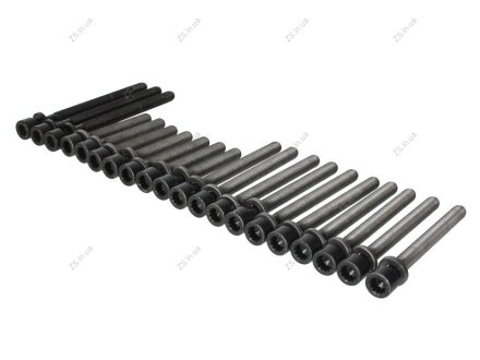 Комплект болтів головки блоку циліндрів VW 2,8/2,9 VR6 AAA/ABV Elring 104.510