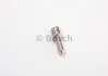 Розпилювач форсунок Bosch 0433171576 (фото 1)