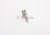 Розпилювач форсунок Bosch 0433171433 (фото 1)