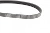 Ремінь поліклиновий Bosch 1 987 948 354 (фото 3)