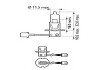 Автолампа галогенова 100W Philips 12455RAC1 (фото 1)