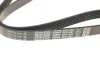 Ремінь поліклиновий DAYCO 6PK1087 (фото 2)