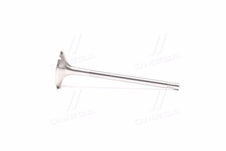 Клапан двигуна IN VAG AXX/BYT/BWA/CGYA/CAEA/CDAA/CABA/CAWA 33.9X6X104 (KS) KOLBENSCHMIDT 331125