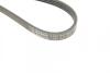 Полікліновий ремень Bosch 1987947863 (фото 6)