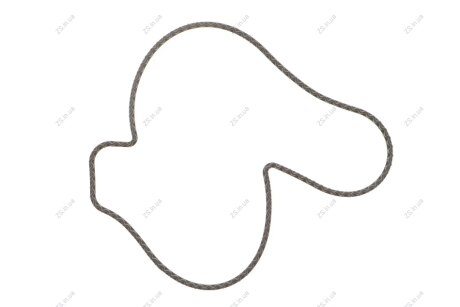 Прокладка, водяний насос VAG 3,0 TFSI 16- Elring 107.170