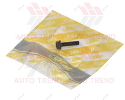 Болт крышки клапанной Daewoo Lanos, Nexia 1.5 8V, Chevrolet Aveo OEM 94500905-OEM