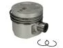 Поршень Knecht/Mahle 0298200 (фото 1)