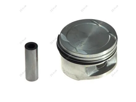 Поршень Knecht/Mahle 0116900 (фото 1)