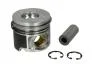 Поршень Knecht/Mahle 0101500 (фото 1)