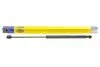 Амортизатор багажника Magneti Marelli 430719078700 (фото 1)