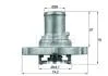 Термостат Knecht/Mahle TI 122 87 D (фото 1)