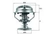 Термостат Knecht/Mahle TX 164 82 D (фото 1)