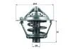 Термостат Knecht/Mahle TX 113 88 D (фото 1)
