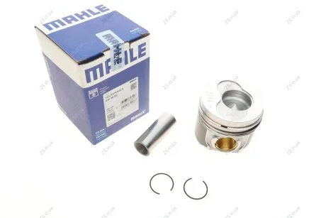 Поршень Knecht/Mahle 0309800