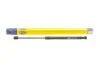 Амортизатор багажника Magneti Marelli 430719084400 (фото 1)