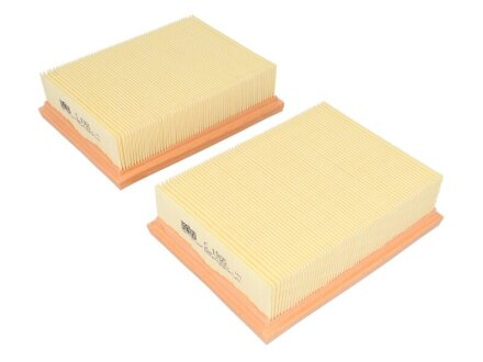 Повітряний фільтр MANN-FILTER C1955-2