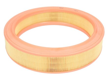 Повітряний фільтр MANN-FILTER C2873/1