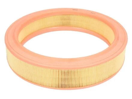 Повітряний фільтр MANN-FILTER C2873/1
