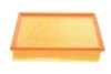 Повітряний фільтр MANN-FILTER C26138/1KIT (фото 3)