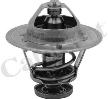 Термостат CALORSTAT by Vernet TH6252.82J