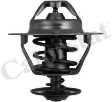 Термостат CALORSTAT by Vernet TH6319.82J