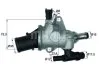 Термостат Knecht/Mahle TI 142 83 (фото 1)