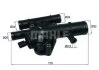 Термостат Knecht/Mahle TI 243 89 (фото 1)