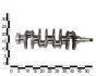Вал коленчатый ЗАЗ 1102-05, SENS 1.2, 1.3, 1.4 OEM 2457-1005015-OEM (фото 2)