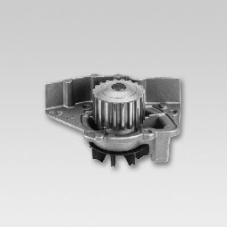 Насос водяний HEPU P961