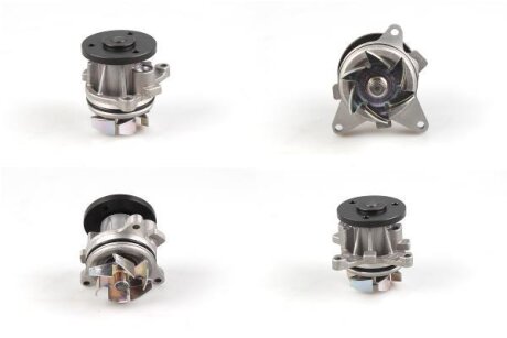 Насос водяний HEPU P251