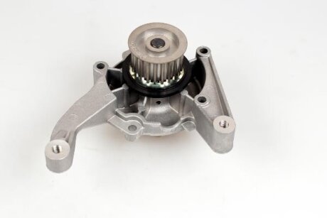 Насос водяний HEPU P1729