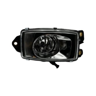Протитуманна фара Renault T Права e-mark C.F.Berg R0682411